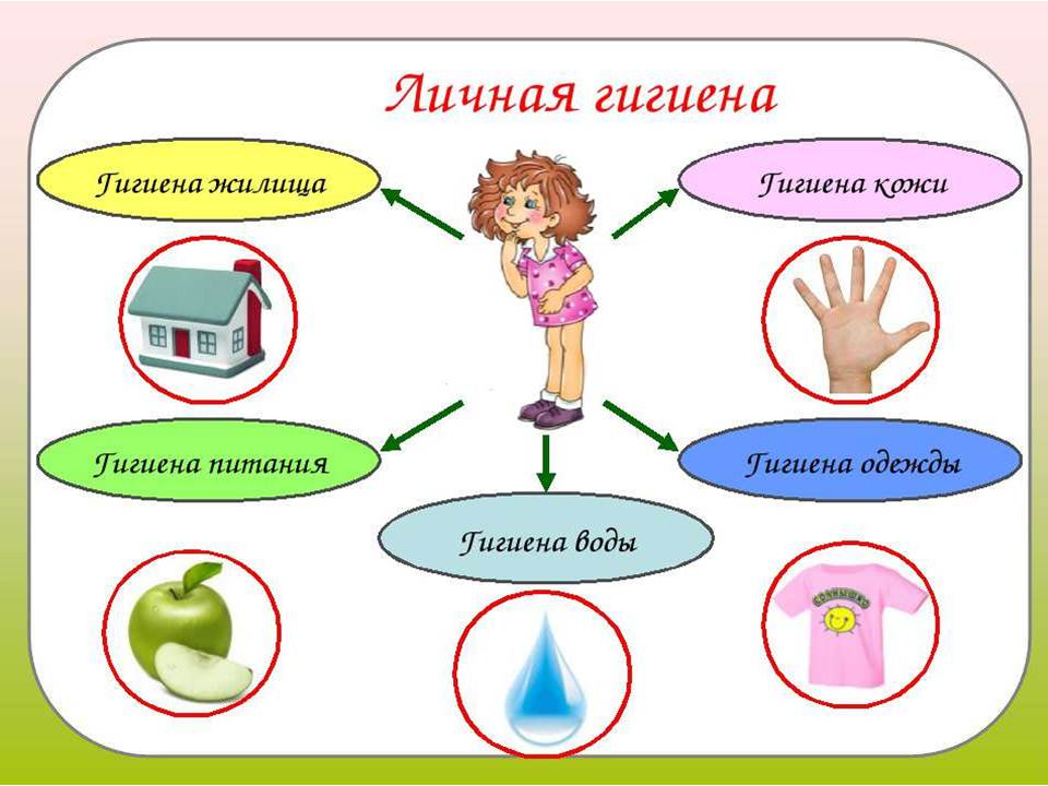 gigiena detey vazhnost mytya ruk i lichnoy gigieny