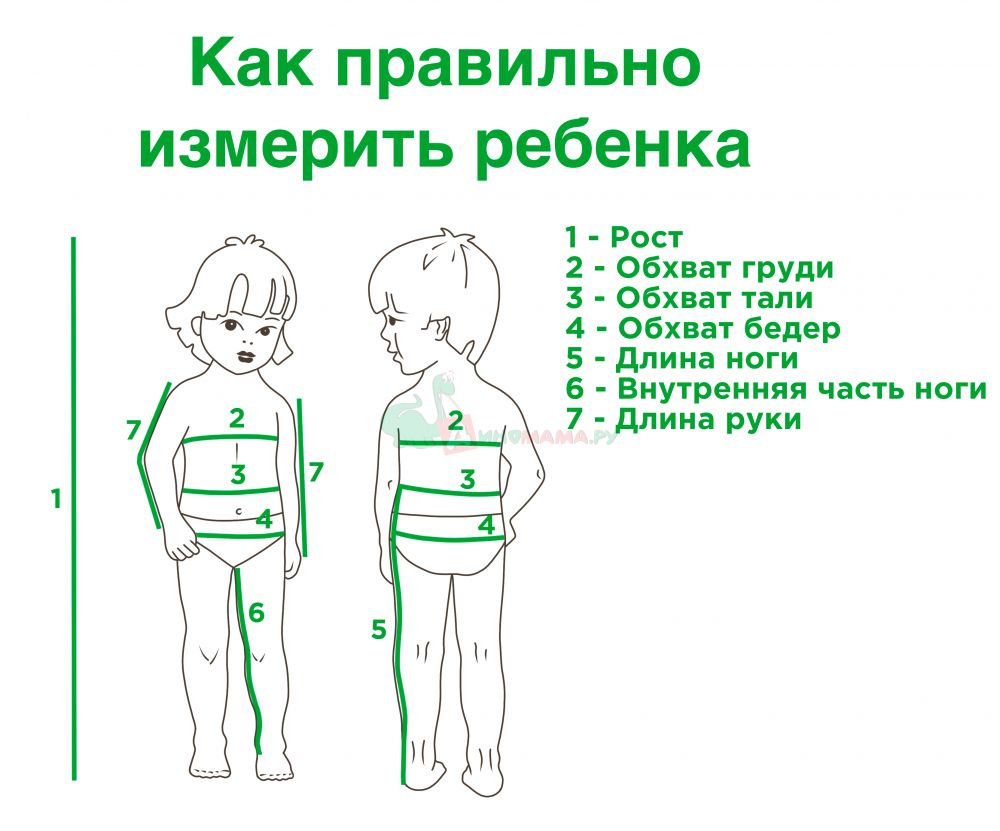 izmerenie dliny nogi rebenka polnyy gid
