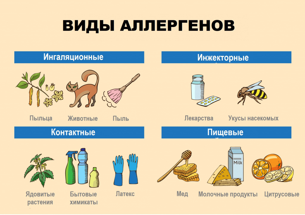 uhod za detskoy odezhdoy pri allergii stiralnye sredstva i protsedury